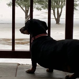 Meet your Posher, Brenda